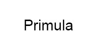 Ремонт кофемашины модели Primula в Лыткарино Ремонт кофемашин Primula